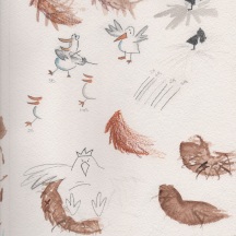 A sketch for a story about greedy seagulls.